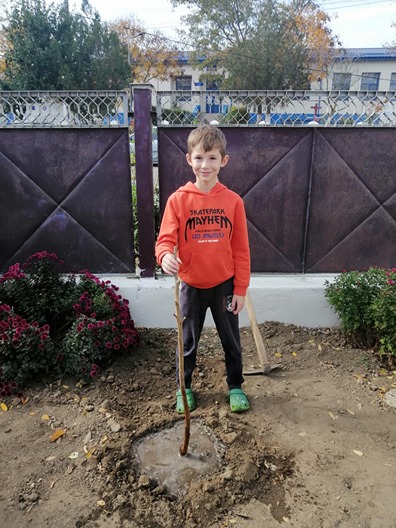 Copilul si pomul sau