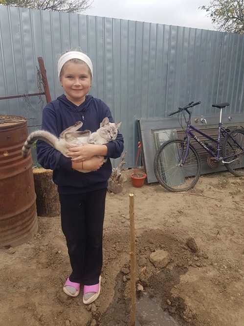 Copilul si pomul sau