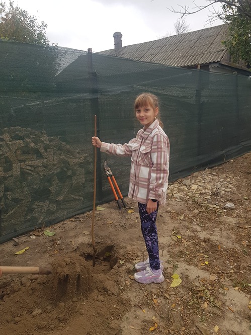 Copilul si pomul sau