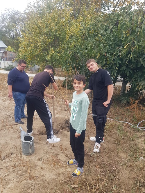 Copilul si pomul sau