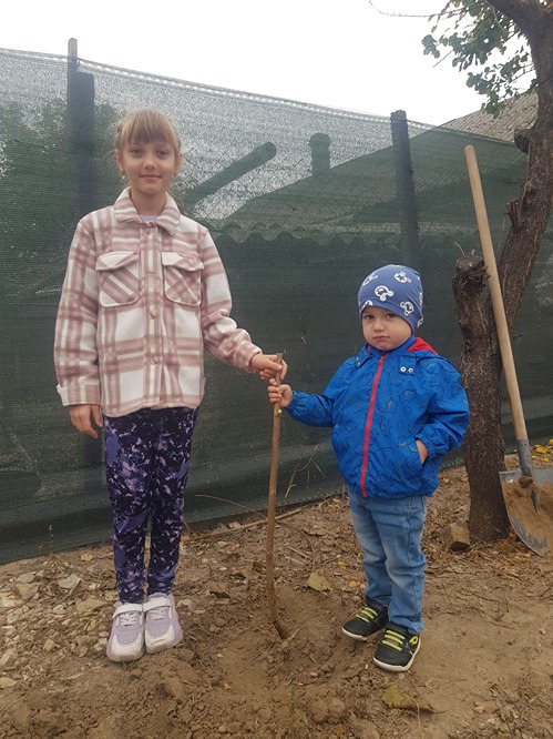 Copilul si pomul sau